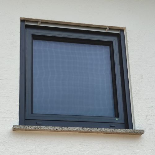 Fenster mit Insektenschutz Landau