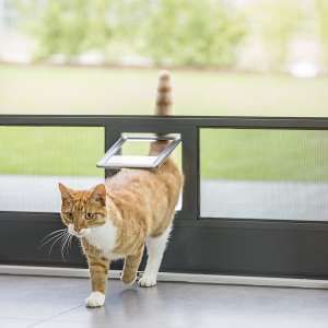 Insektenschutz Katzenklappe Stutensee