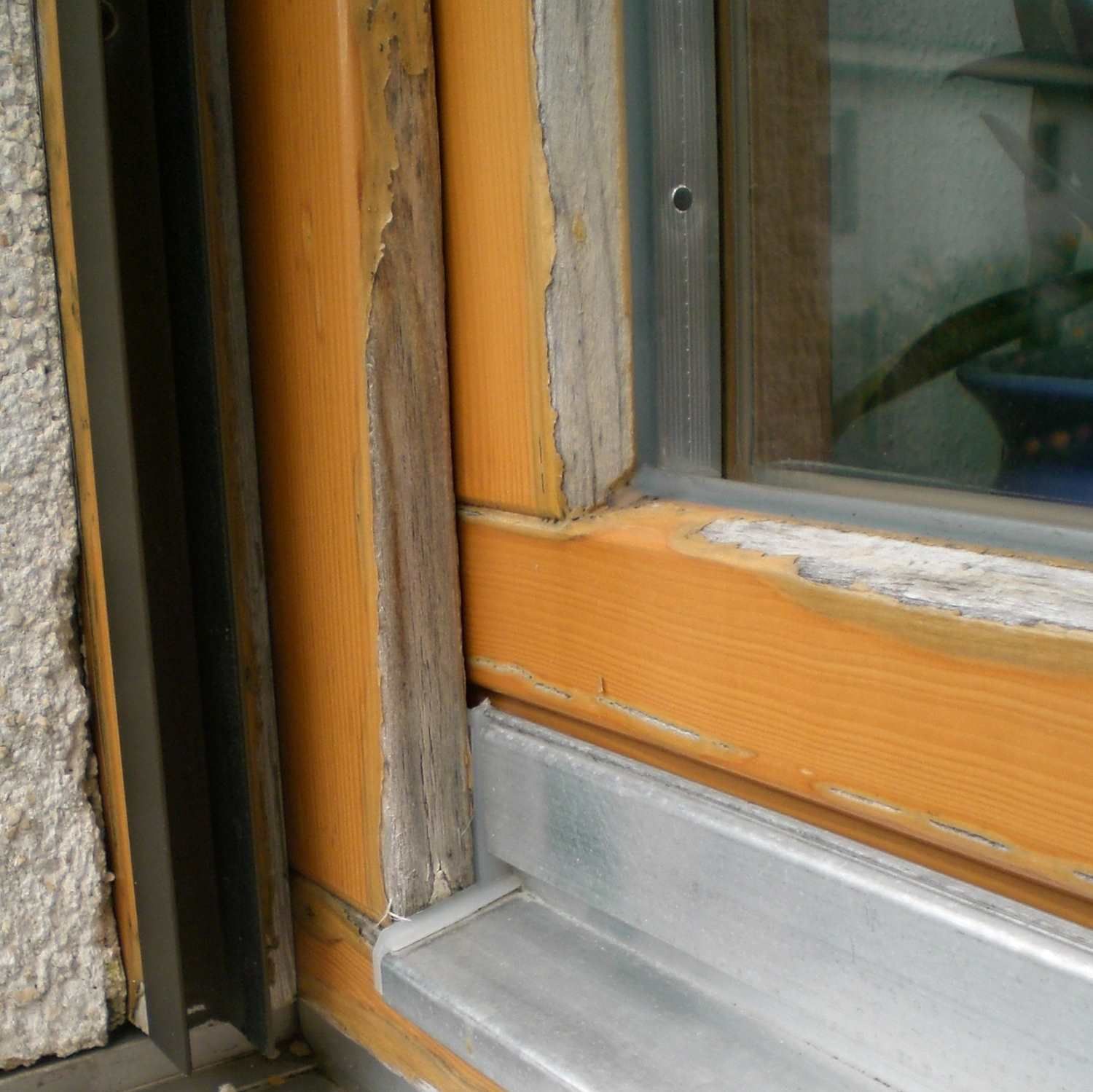Holzfenster angegriffen