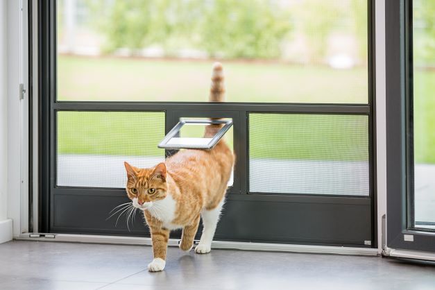 Insektenschutz mit Katzenklappe