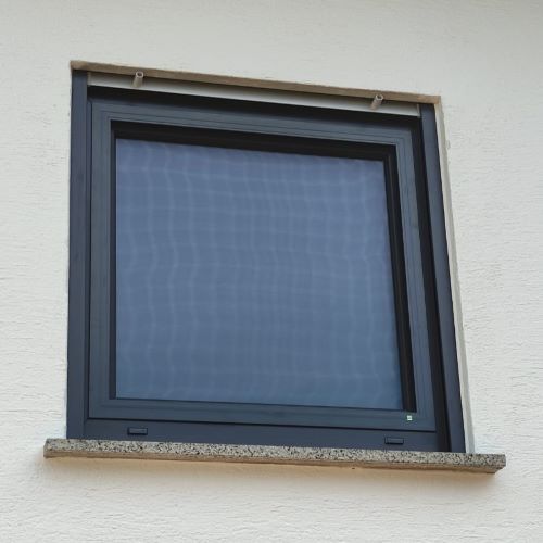 Fenster mit Insektenschutz
