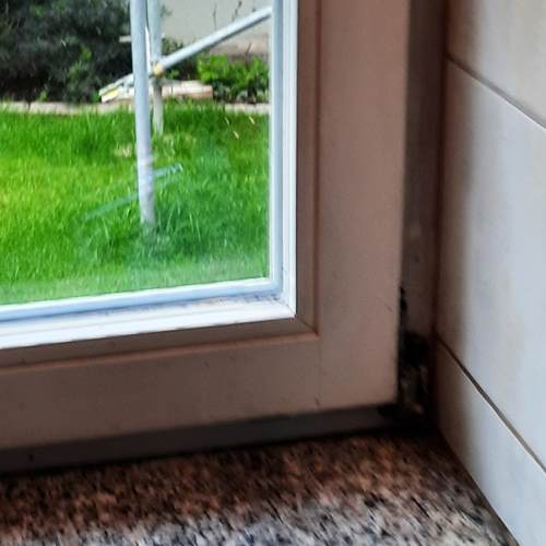 Fenster ohne Schäden in Au am Rhein