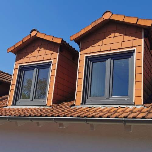 Fensteraustausch Dachgaube in Ludwigshafen