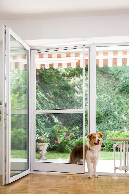 Pendeltüre Hund
