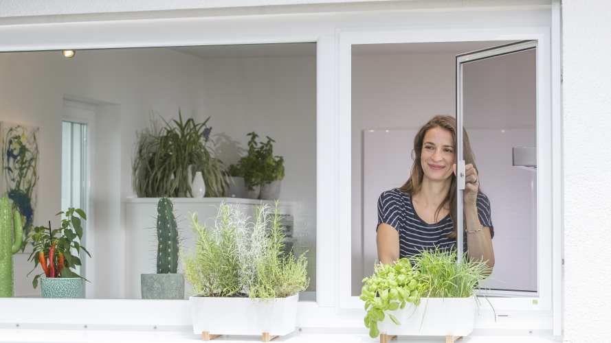 Insektenschutz Drehfenster f&uuml;r Fenster Mannheim