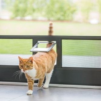 Katzensichere Fliegengitter