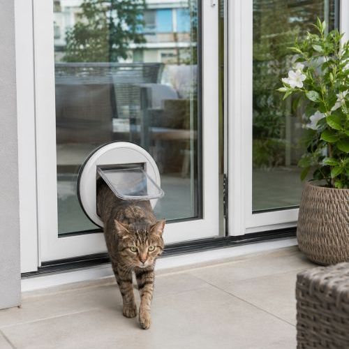 Katzenklappe im Glas